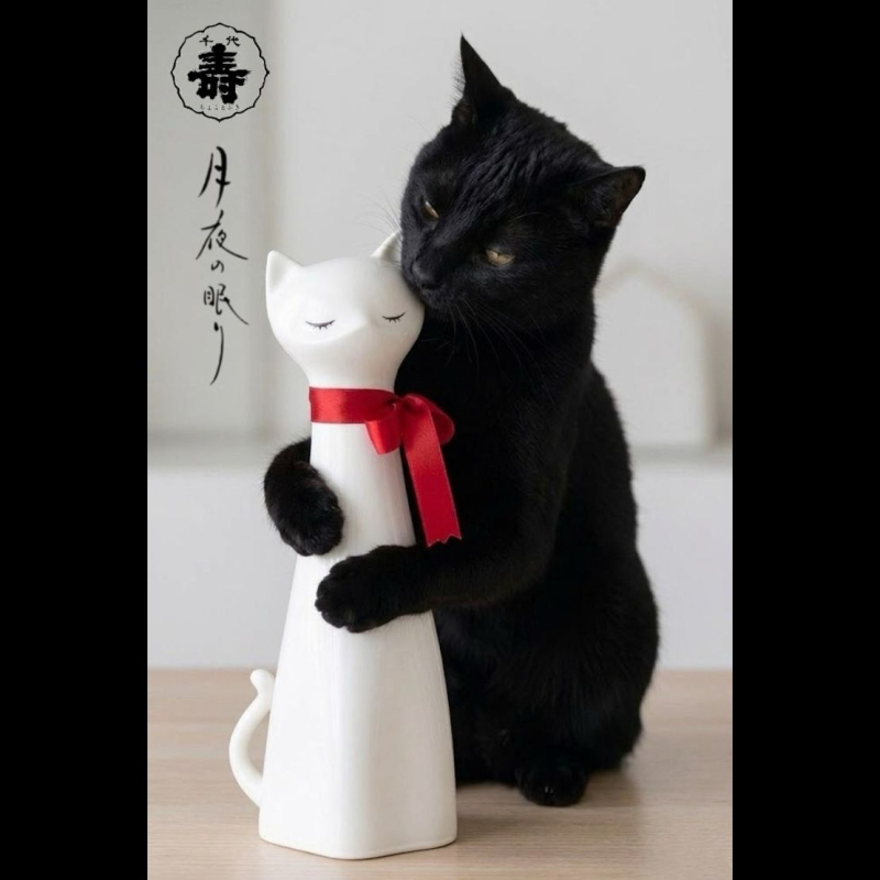 純米酒 月夜之眠 白貓